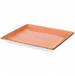 Тарелка 20 см квадратная  Bronco &quot;Nature /Оранжевый&quot; (4шт.) / 210417