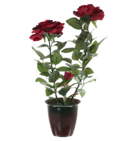 Цветы в горшке "Royal Classics /Куст красных роз" / 140401